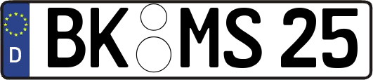 BK-MS25