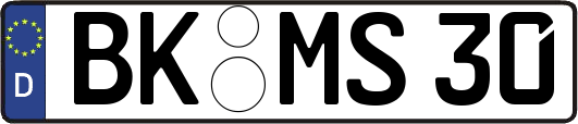 BK-MS30