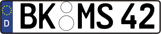 BK-MS42