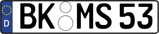 BK-MS53