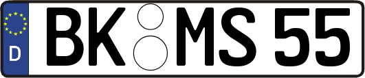 BK-MS55