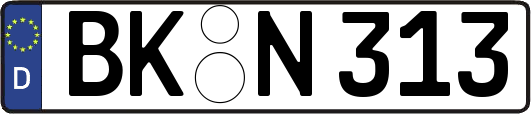 BK-N313