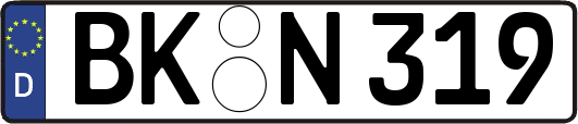 BK-N319