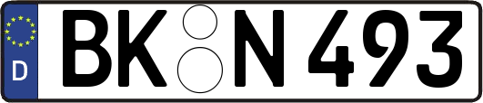 BK-N493
