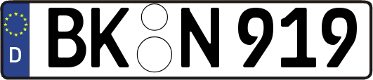 BK-N919