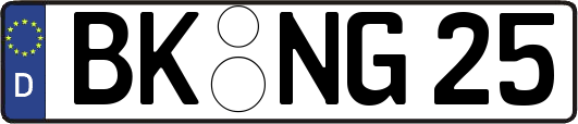 BK-NG25