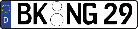 BK-NG29
