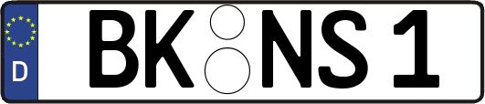 BK-NS1