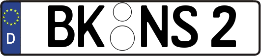 BK-NS2