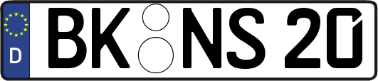 BK-NS20