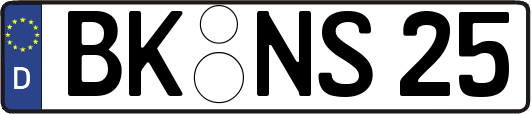 BK-NS25