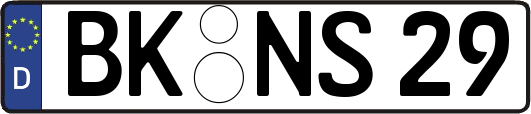 BK-NS29