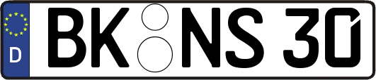 BK-NS30
