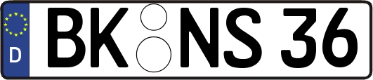 BK-NS36