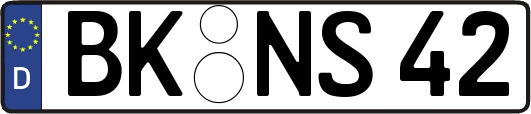 BK-NS42