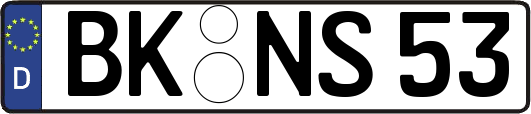 BK-NS53