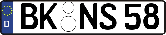 BK-NS58