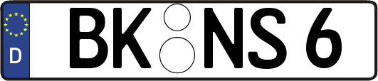 BK-NS6