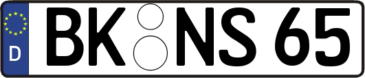 BK-NS65