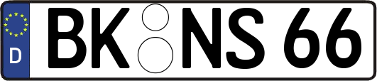 BK-NS66