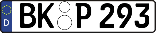 BK-P293