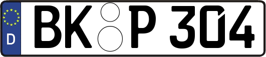 BK-P304