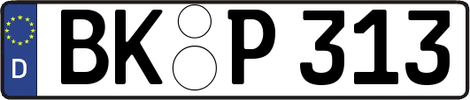 BK-P313