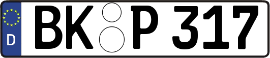 BK-P317