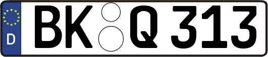 BK-Q313