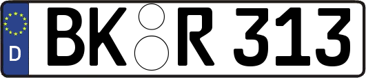 BK-R313
