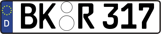 BK-R317
