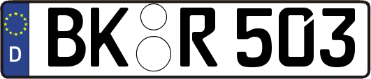 BK-R503