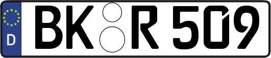 BK-R509