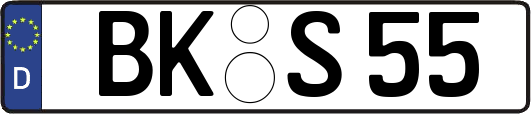 BK-S55