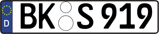 BK-S919
