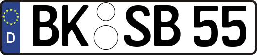 BK-SB55