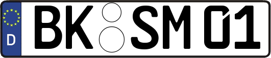 BK-SM01