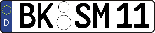 BK-SM11