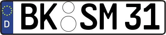 BK-SM31