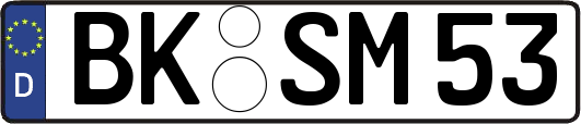 BK-SM53