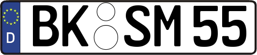 BK-SM55