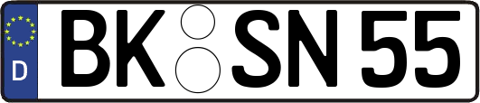 BK-SN55