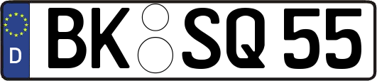 BK-SQ55