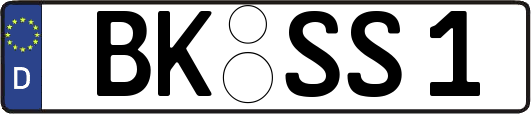 BK-SS1