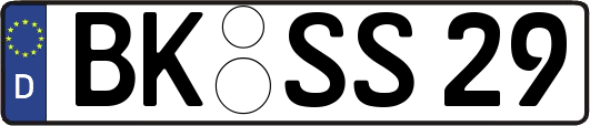 BK-SS29