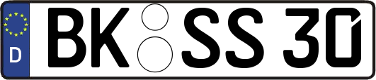 BK-SS30