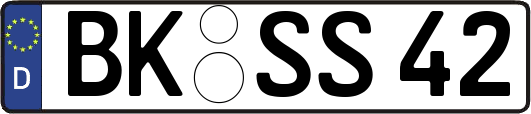 BK-SS42
