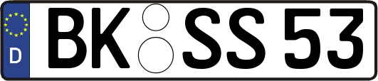 BK-SS53