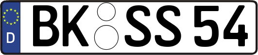BK-SS54