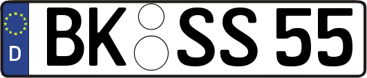 BK-SS55